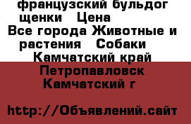французский бульдог щенки › Цена ­ 50 000 - Все города Животные и растения » Собаки   . Камчатский край,Петропавловск-Камчатский г.